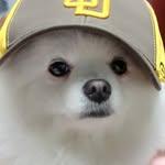 프로필