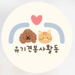 프로필