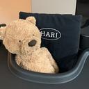 HARI