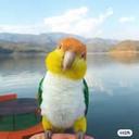 birdcage_lab