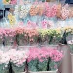 프로필
