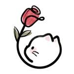 프로필