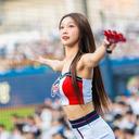 박담비