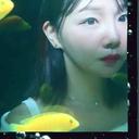 달지홍: 여행 : 운동 : 일상 🍀