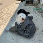프로필