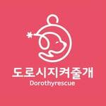 프로필