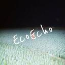 Echo in Eco