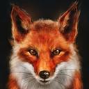 🦊 Fox ❤
