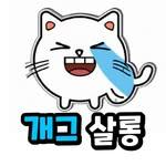 프로필