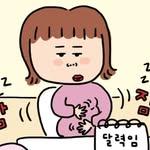 프로필