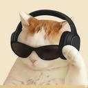 음악 좀 듣는 사람들 I Good Vibes People