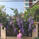 여행블로거 하은정원