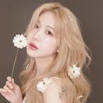 프로필