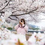 프로필