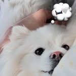프로필