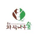 용인자작나무숲
