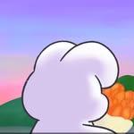 프로필