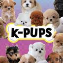 K-PUPS BY ROLLY