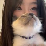 프로필