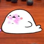 프로필