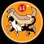 프로필