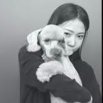 프로필