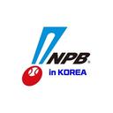 NPB IN KOREA   |  일본 프로야구