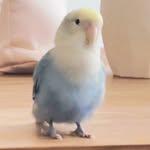 프로필