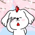 프로필