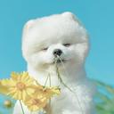 안녕, 난 겨울이야 🐻‍❄️💜