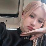 프로필