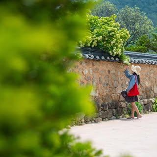 프로필