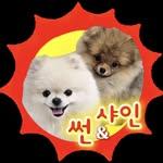 프로필