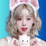 프로필