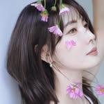 프로필