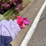 프로필