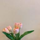 예뿌다네 쇼핑몰😊☺