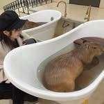 프로필