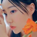 프로필